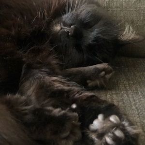 Meet your Posher, Julie